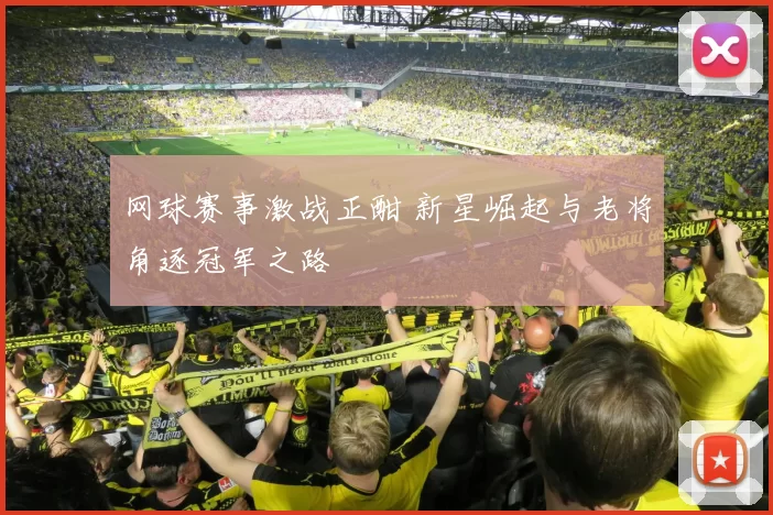 网球赛事激战正酣 新星崛起与老将角逐冠军之路