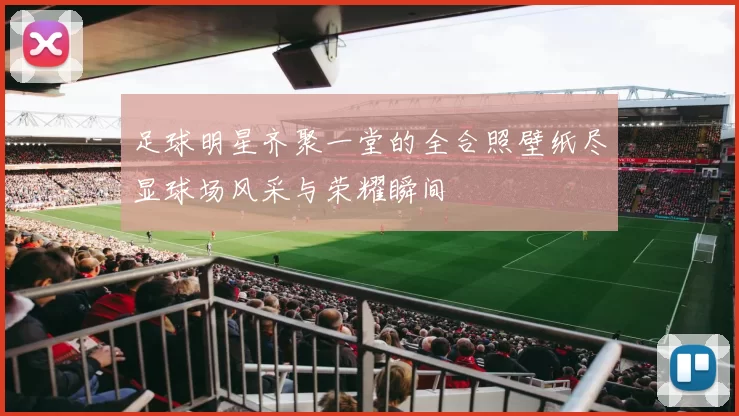 足球明星齐聚一堂的全合照壁纸尽显球场风采与荣耀瞬间