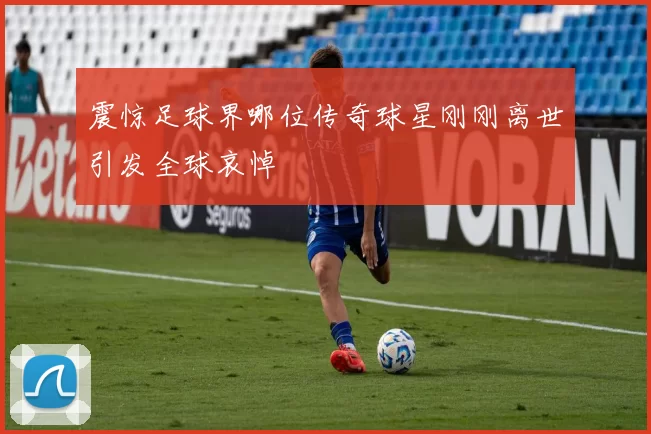 震惊足球界哪位传奇球星刚刚离世引发全球哀悼