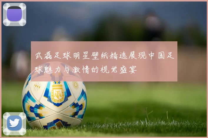 武磊足球明星壁纸精选展现中国足球魅力与激情的视觉盛宴