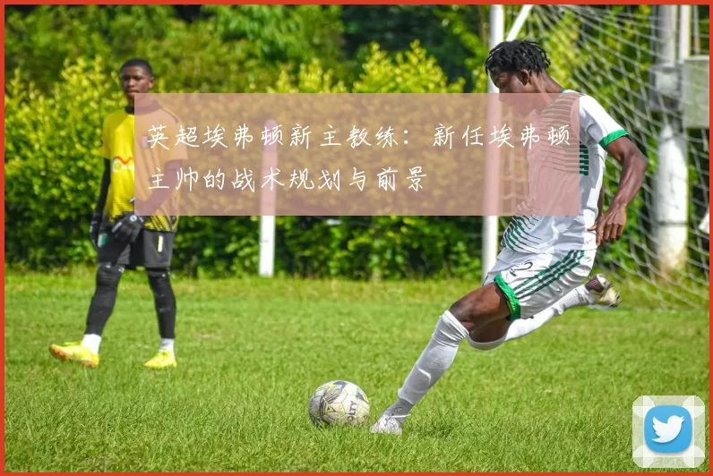 英超埃弗顿新主教练：新任埃弗顿主帅的战术规划与前景