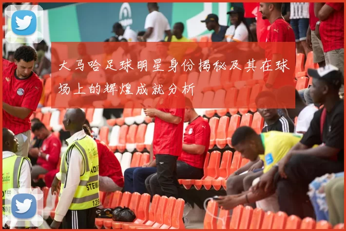 大马哈足球明星身份揭秘及其在球场上的辉煌成就分析