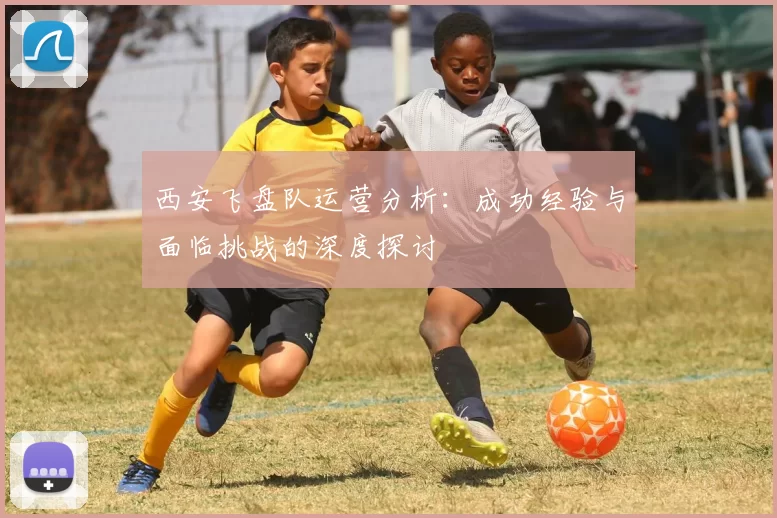 西安飞盘队运营分析：成功经验与面临挑战的深度探讨