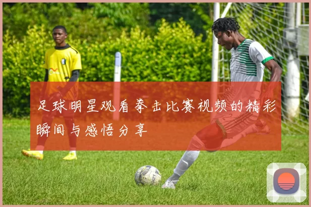 足球明星观看拳击比赛视频的精彩瞬间与感悟分享