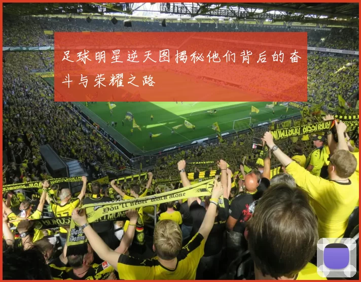 足球明星逆天图揭秘他们背后的奋斗与荣耀之路