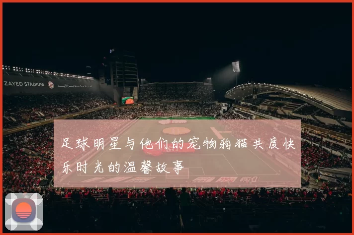 足球明星与他们的宠物狗猫共度快乐时光的温馨故事