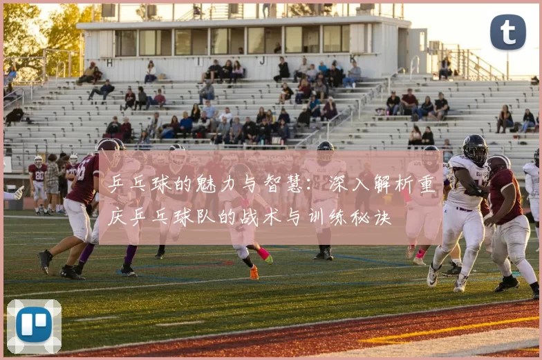 乒乓球的魅力与智慧：深入解析重庆乒乓球队的战术与训练秘诀