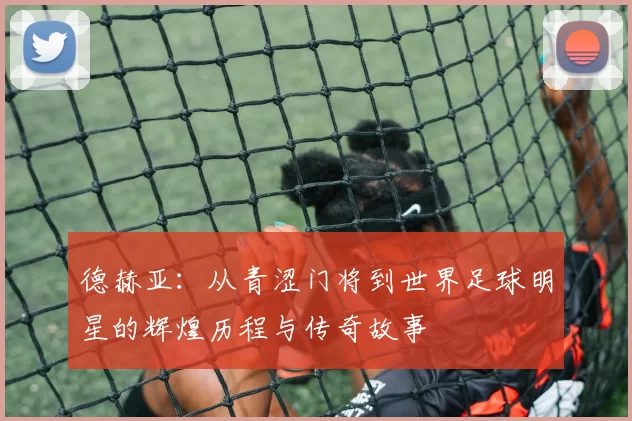 德赫亚：从青涩门将到世界足球明星的辉煌历程与传奇故事