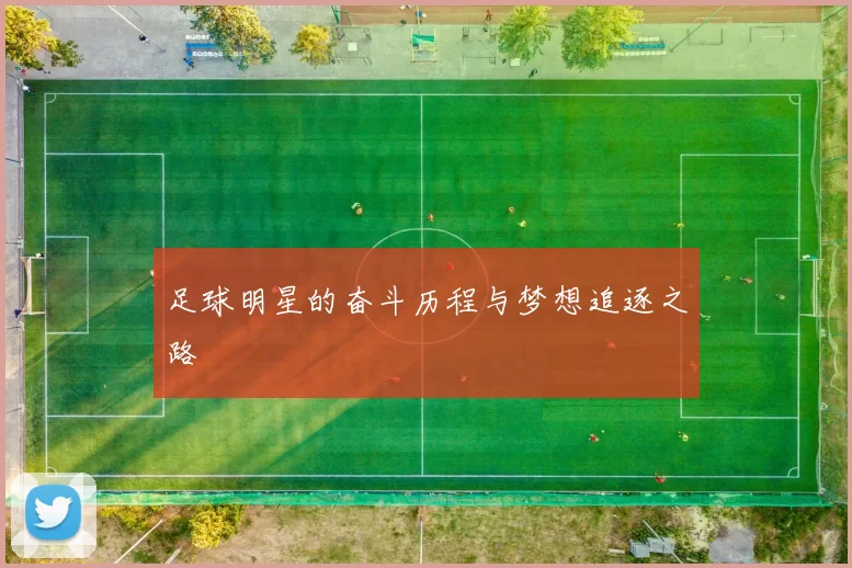 足球明星的奋斗历程与梦想追逐之路