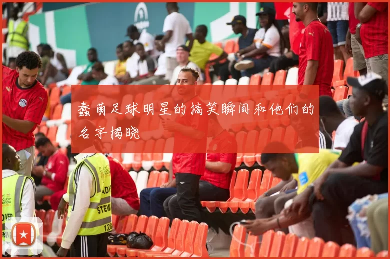 蠢萌足球明星的搞笑瞬间和他们的名字揭晓