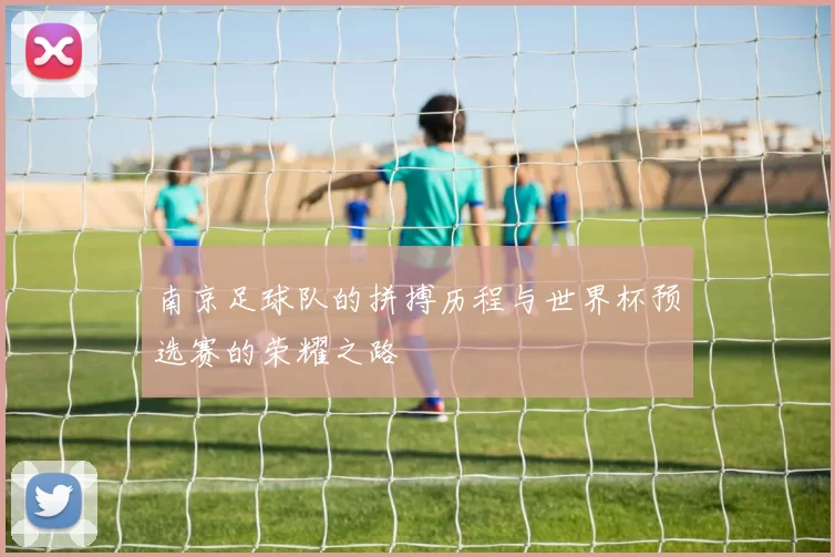 南京足球队的拼搏历程与世界杯预选赛的荣耀之路