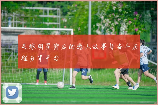 足球明星背后的感人故事与奋斗历程分享平台