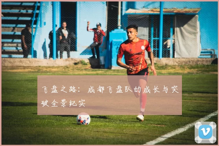 飞盘之路：成都飞盘队的成长与突破全景纪实