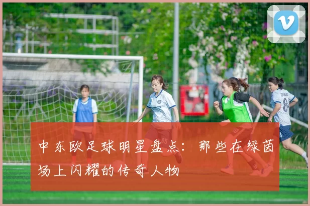 中东欧足球明星盘点：那些在绿茵场上闪耀的传奇人物