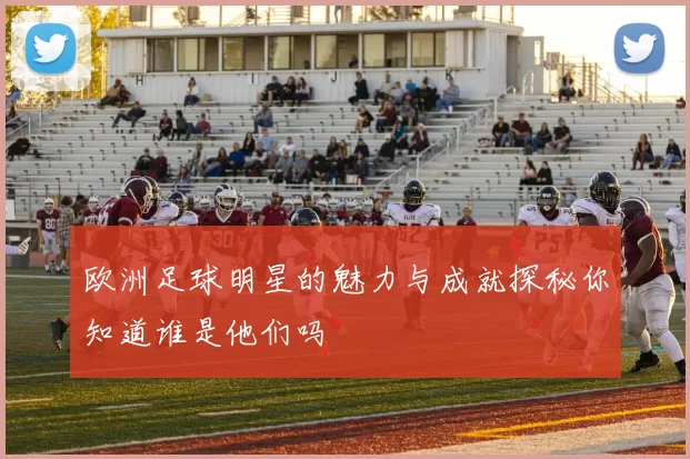 欧洲足球明星的魅力与成就探秘你知道谁是他们吗