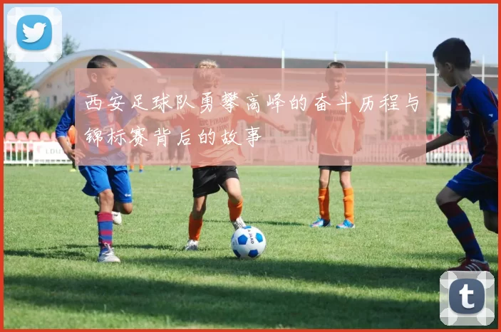 西安足球队勇攀高峰的奋斗历程与锦标赛背后的故事