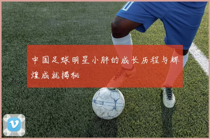 中国足球明星小胖的成长历程与辉煌成就揭秘