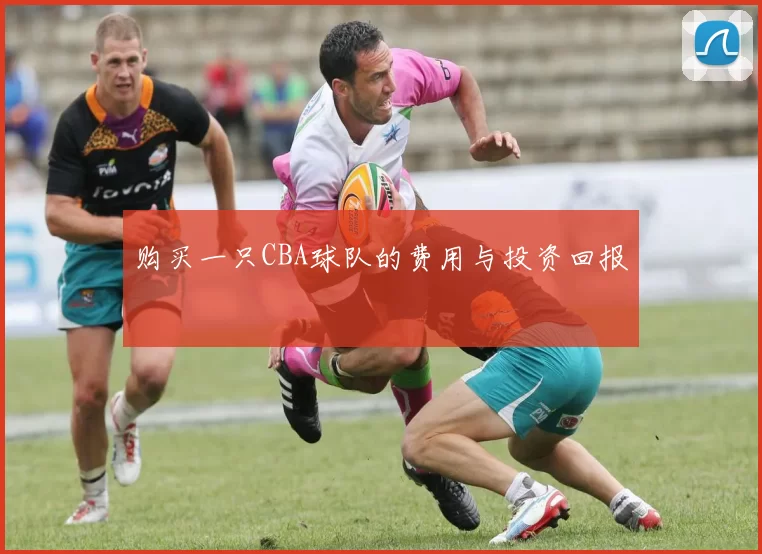 购买一只CBA球队的费用与投资回报