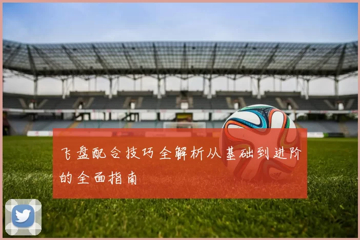 飞盘配合技巧全解析从基础到进阶的全面指南