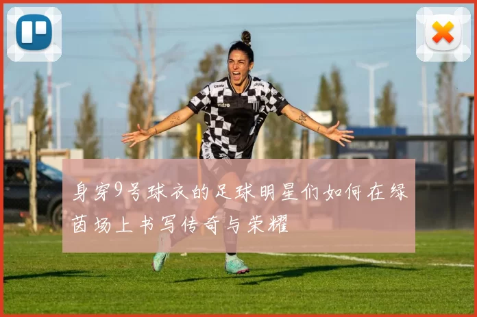 身穿9号球衣的足球明星们如何在绿茵场上书写传奇与荣耀