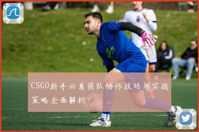 CSGO新手必看团队协作技巧与实战策略全面解析