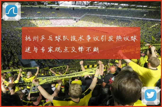 杭州乒乓球队技术争议引发热议球迷与专家观点交锋不断
