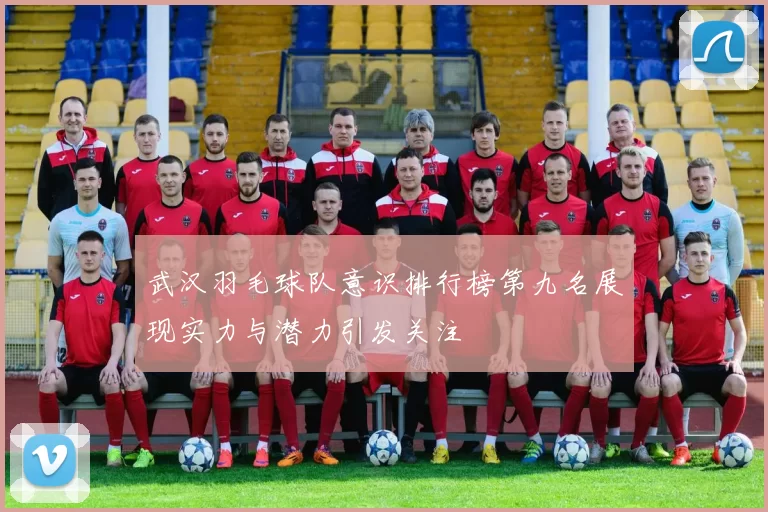 武汉羽毛球队意识排行榜第九名展现实力与潜力引发关注