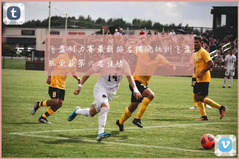 飞盘耐力赛最新排名揭晓杭州飞盘队荣获第六名佳绩
