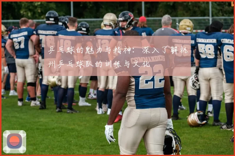 乒乓球的魅力与精神：深入了解杭州乒乓球队的训练与文化