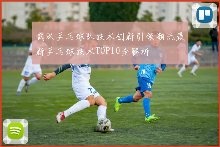 武汉乒乓球队技术创新引领潮流最新乒乓球技术TOP10全解析