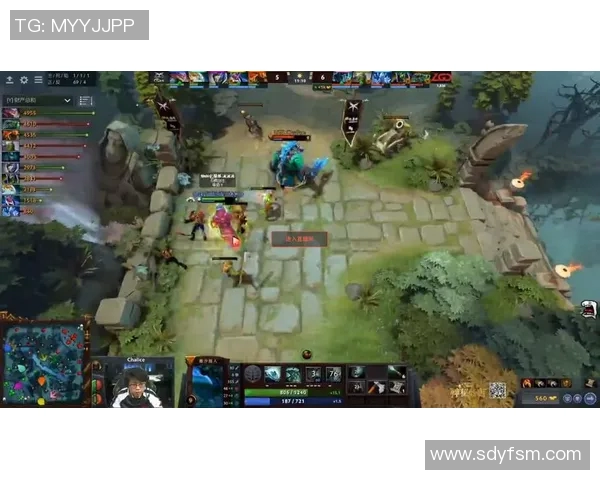 LNG在DOTA2比赛中的区域防守策略分析与成效评估