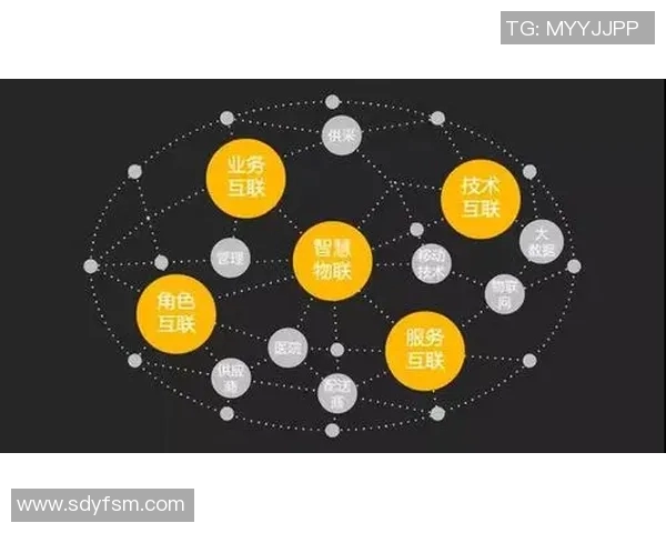北京篮球队运营革新探索：从管理模式到球迷体验的全方位升级