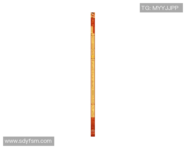 杭州乒乓球队速度飙升成就最新乒乓球速度TOP10榜首地位