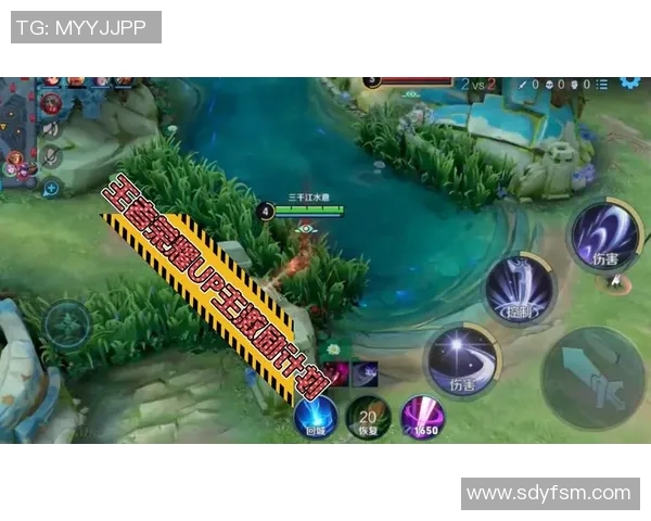 张磊深度解析王者荣耀游戏技巧与心得分享助你快速提升段位